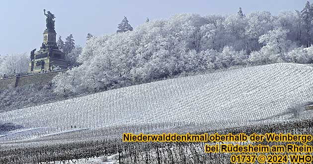 Niederwalddenkmal im Winter oberhalb der Weinberge bei Rdesheim am Rhein