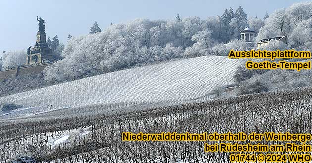 Niederwalddenkmal im Winter oberhalb der Weinberge bei Rdesheim am Rhein