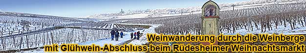 Weinwanderung durch die Rdesheimer Weinberge mit Glhwein-Abschluss beim Weihnachtsmarkt in Rdesheim am Rhein im November und Dezember