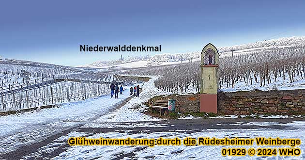 Winterliche Wanderung bei Rdesheim am Rhein mit Glhweinpausen und Glhweinprobe 2024 2025 Fackelwanderung durch die Rdesheimer Weinberge