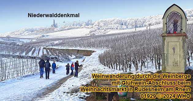 Weinwanderung durch die Rdesheimer Weinberge mit Glhwein-Abschluss beim Weihnachtsmarkt in Rdesheim am Rhein