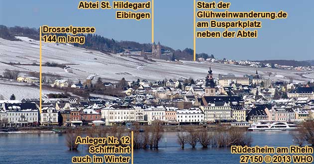 Winterliche Wanderung bei Rdesheim am Rhein mit Glhweinprobe  Fackelwanderung durch die Rdesheimer Weinberge